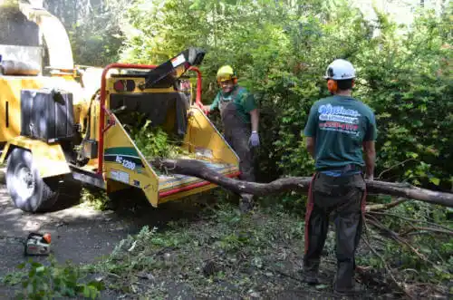 tree services Hardy